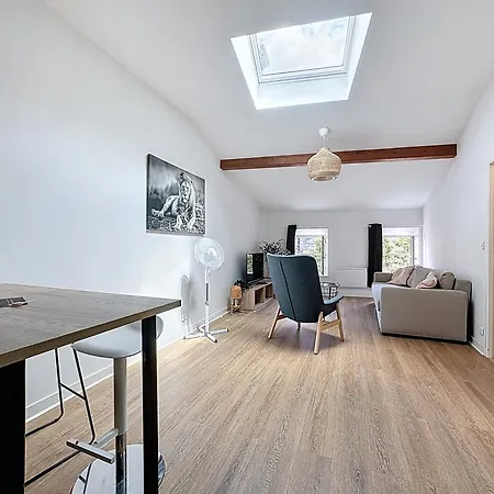 Apartment Tour D'auvergne: Near Cathedral And Place De Jaude Clermont-Ferrand