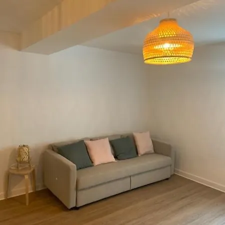 Apartment Tour D'auvergne: Near Cathedral And Place De Jaude